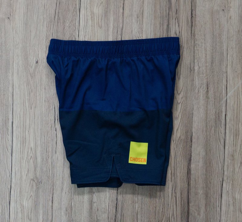 CHOSEN earth v2 Fightshorts